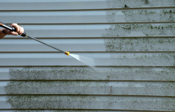 Attic Mold Removal in Hominy, OK