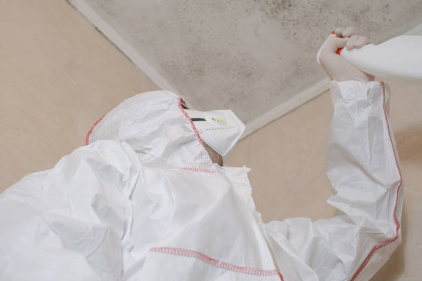 Best Mold Remediation Experts  in Hominy, OK