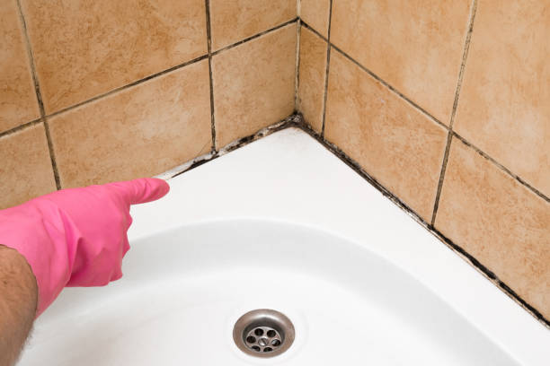 Best Professional Mold Removal  in Hominy, OK